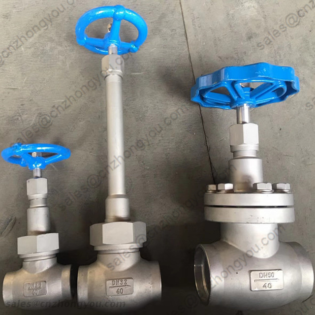 -196℃ Low Temperature Globe Valve, DN25 DN32 DN50 PN40, ASTM A351 CF8 Body, SS304 Trim, Socket Weld