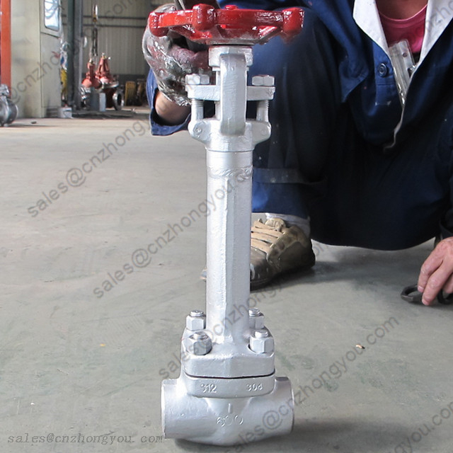 Cryogenic Forged Gate Valve 1'' 600LB, ASTM A182 F304 Body, RF