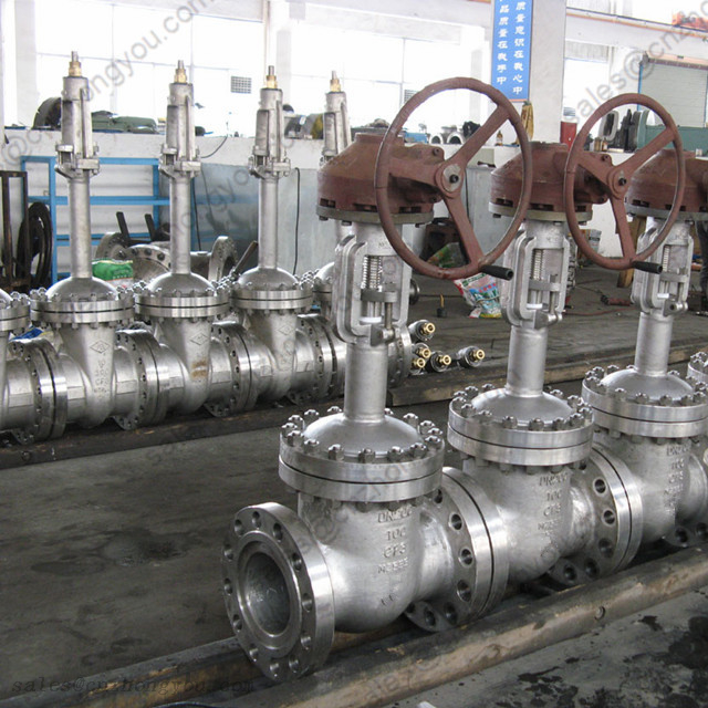 Extension Stem Gate Valve DN300 PN100, ASTM A351 CF3 Body, RF