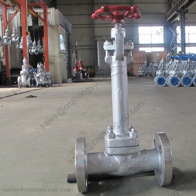 Extended Bonnet Globe Valve 1'' 600LB, ASTM A182 F304 Body, RF