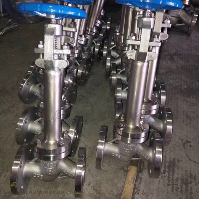 Extension Bonnet Globe Valve, DN25 PN16, ASTM A351 CF8 Body, SS304 Trim, RF, Handwheel