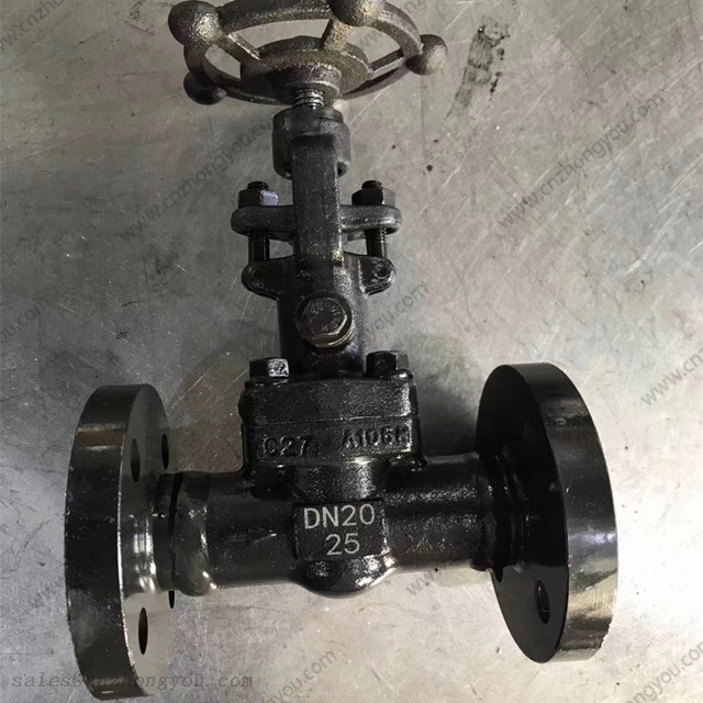 Vacuum Gate Valve, DN20 PN25, ASTM A105N Body, 13Cr Trim, Flanged Ends