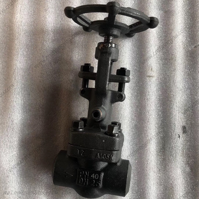 Vacuum Gate Valve, DN25 PN40, ASTM A105N Body, 13Cr Trim, BW Ends