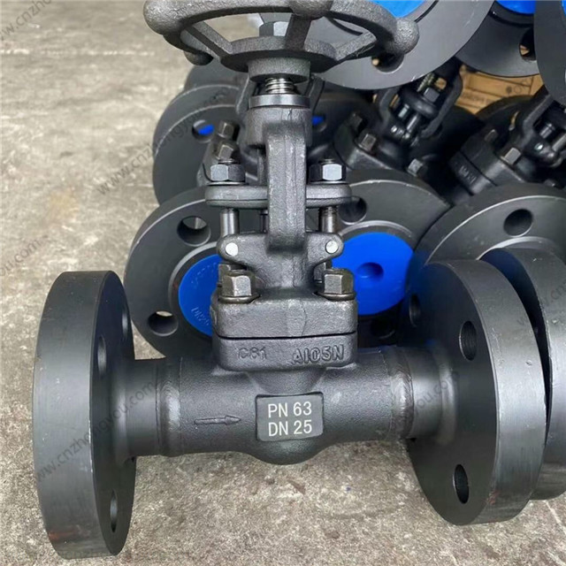 BB Globe Valve, DN25 PN63, ASTM A105 Body, ASTM A182 F6a Trim, RF