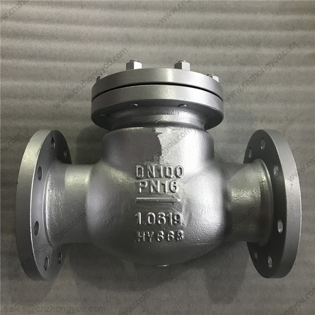 DIN 3202 F6 Check Valve, DN100 PN16, 1.0619 Body, 1.0619 Trim, RF