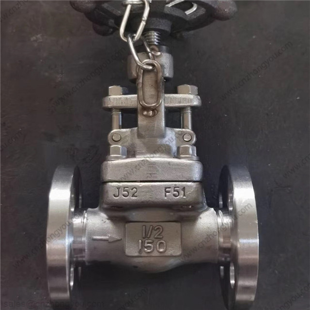 F51 Globe Valve, 0.5'' 150LB, ASTM A182 F51 Body, ASTM A182 F51 Trim, RF