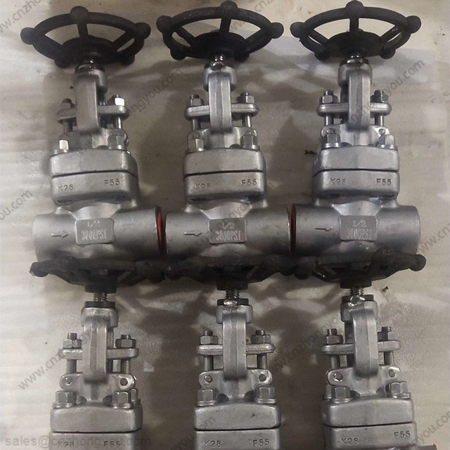 Forged Duplex Steel Globe Valve, 0.5'' 3000PSI, ASTM A182 F55 Body, F55 Trim, SW ends