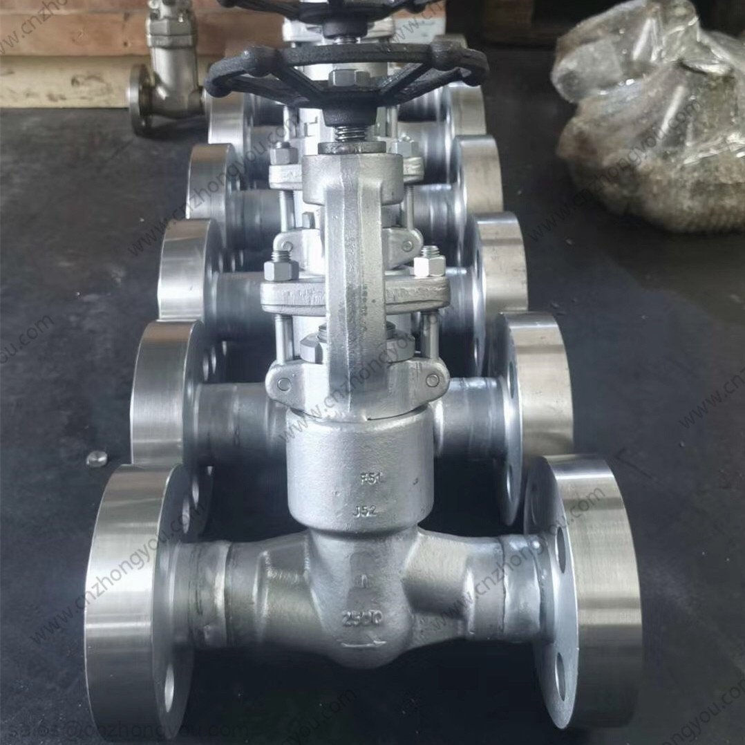 Forged Duplex Steel Globe Valve, 1'' 2500LB, ASTM A182 F51 Body, F51 Trim, RTJ