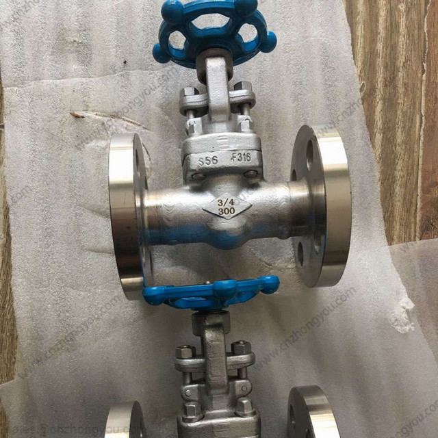 Forged Steel Gate Valve, DN20 300LB, ASTM A182 F316 Body, F316 Trim, RF