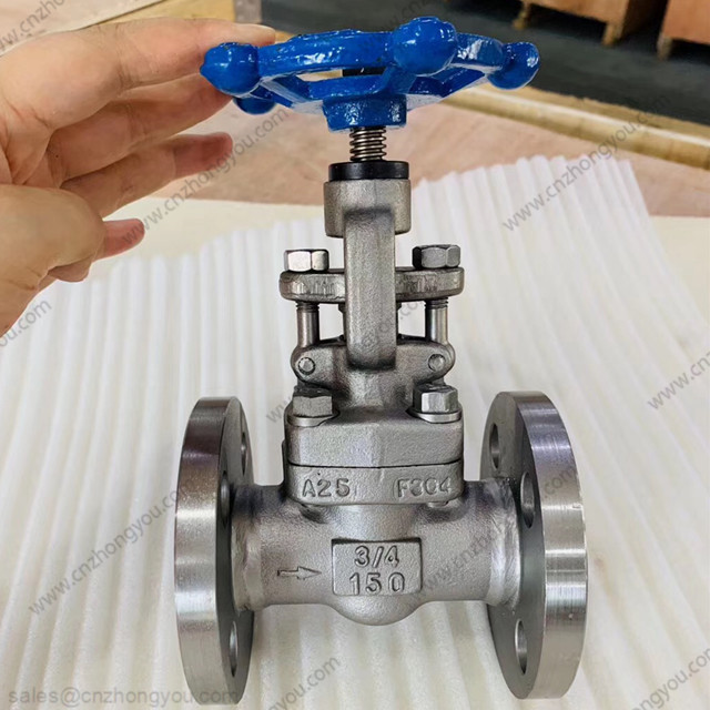 Forged Steel Globe Valve, 0.75'' 150LB, ASTM A182 F304 Body, F304+HF Trim, RF