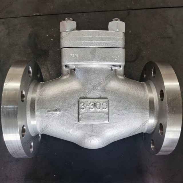 Forged Steel Swing Check Valve, 3'' 300LB, ASTM A182 F316 Body, F316 Trim, RF Ends