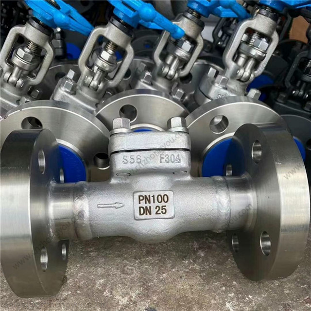 Forged Swing Check Valve, DN25 PN100, ASTM A182 F304 Body, ASTM A182 F304 Trim, RF