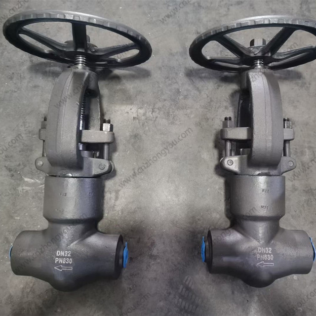 High Pressure Globe Valve, DN32 PN630, ASTM A182 F22 Body, ASTM A182 F22 Trim, BW