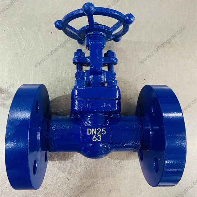 High Temperature Gate Valve, DN25 PN63, ASTM A182 F9 Body, ASTM A182 F9 Trim, RF