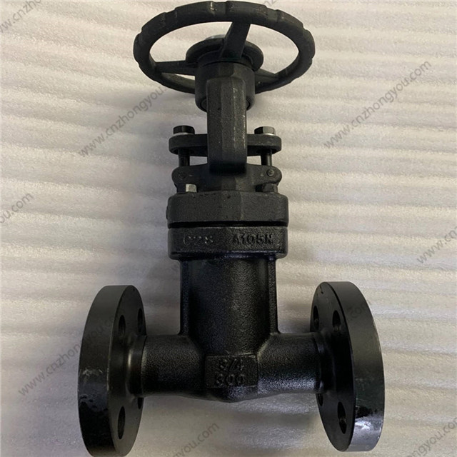 Bellow Seal Gate Valve, 0.75'' 800LB, A105N Body, SS321 Bellows, RF Ends