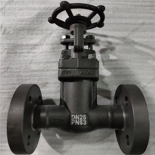 Bellow Seal Globe Valve, DN25 PN63, A105N Body, SS316 Bellows, RF Ends