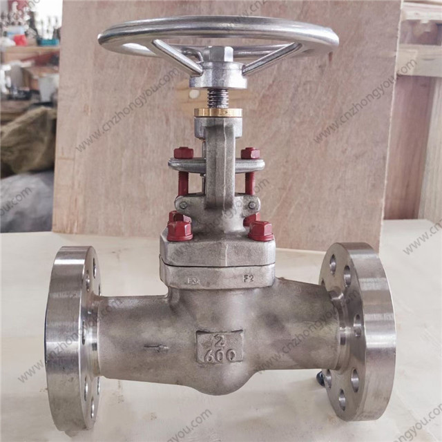 Forged Titanium Globe Valve, 2'' 600LB, ASTM B381 F2 Body, F2 trim, RTJ Ends