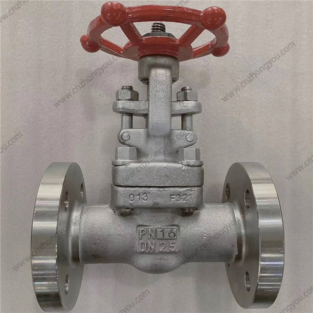 Integral Flange Gate Valve, DN25 PN16, F321 Body, F321 Trim, RF Ends