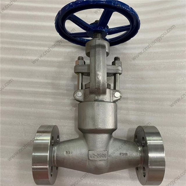 PSB Forged Globe Valve, 0.5'' 2500LB, A182 F316 body, A182 F316 Trim, RTJ Ends