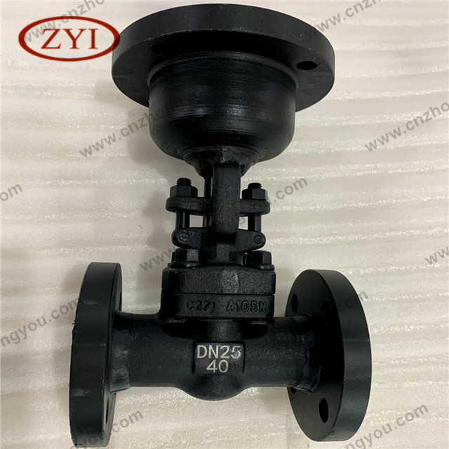 Bare Stem Forged Gate Valve, DN25 PN40, ASTM A105N Body, 13Cr Trim, RF Ends