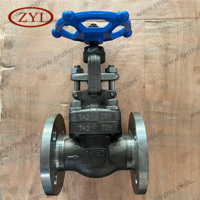 Forged TA2 Globe Valve, 1'' 150LB, TA2 Body, Ti Trim, RF Ends