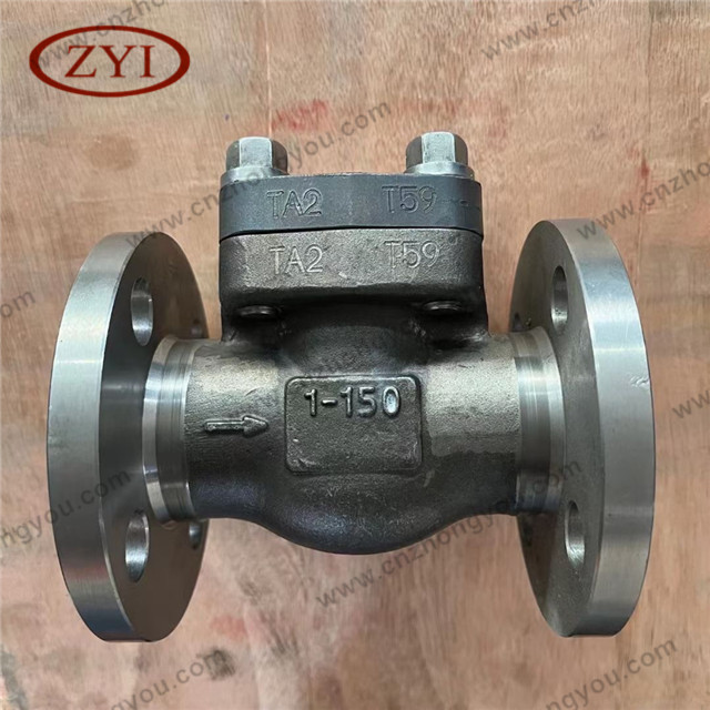 Forged TA2 Swing Check Valve, 1'' 150LB, TA2 Body, Ti Trim, RF Ends