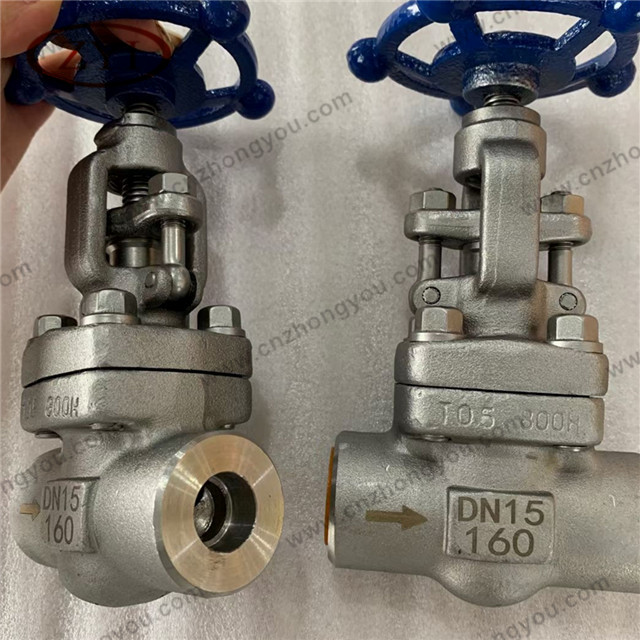 Incoloy 800H Globe Valve, DN15 PN160, 800H Body, N08810 Trim, SW