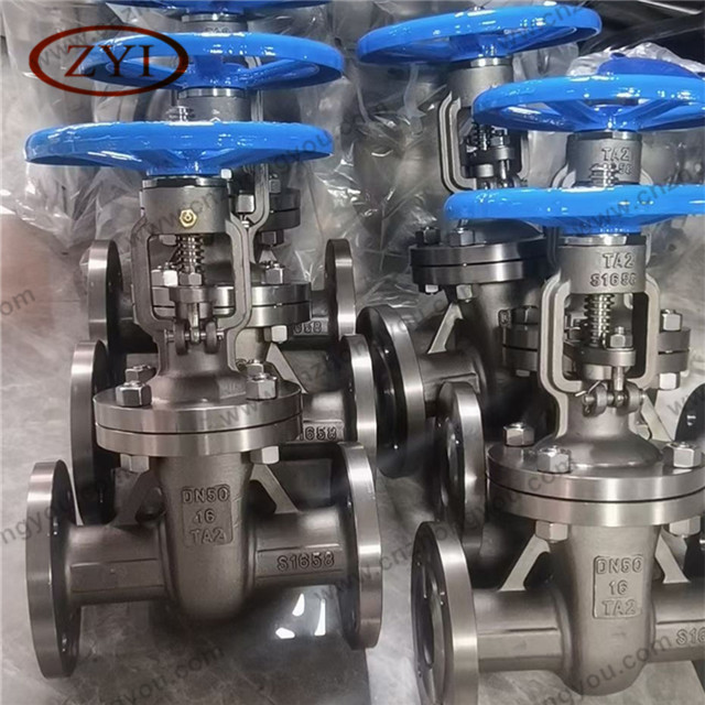 Special Steel Titanium TA2 Gate Valve, DN50 PN16, TA2 Body, Ti Trim, RF Ends