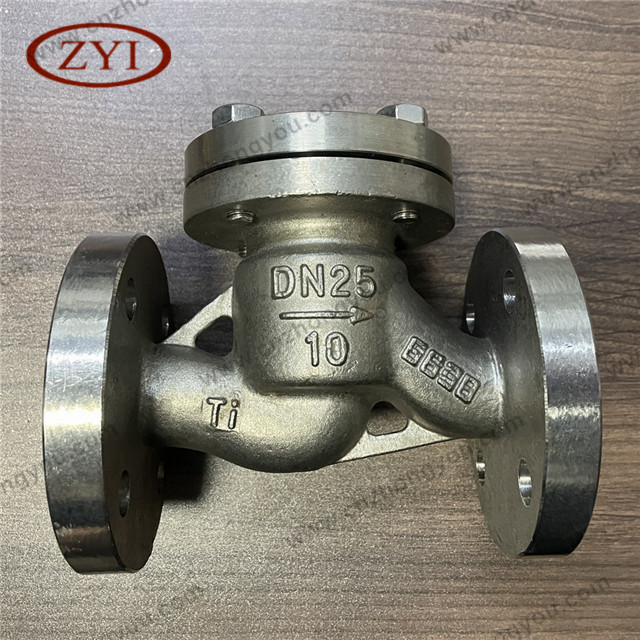 Ti Lift Check Valve, DN25 PN10, Ti Body, Ti Trim, RF Ends