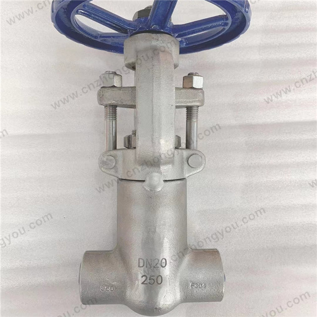 Small Size PSB Gate Valve, DN20 PN250, ASTM A182 F304 Body, ASTM A182 F304 Trim, Threaded Ends