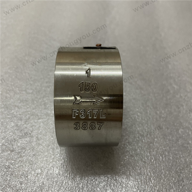Wafer Type Single Disc Lift Check Valve, 1'' 150LB, ASTM A182 F317L Body, ASTM A182 F317L Disc