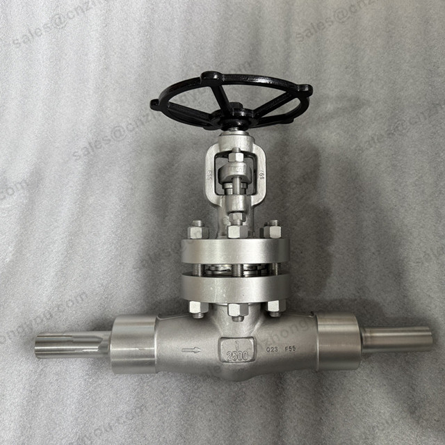 EXTENDED PIPE GLOBE VALVE, 1'' 2500LB, ASTM A182 F55 Body, ASTM A182 F55 Trim, BW Ends