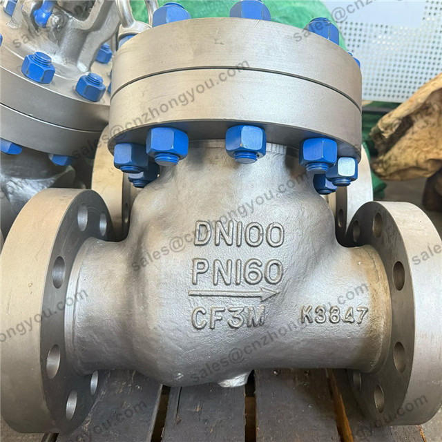 API6D Swing Check Valve, DN100 PN160, CF3M Body, 316L Trim, Flanged Ends