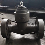 Pressure Seal Cover Piston Check Valve, DN65 PN420, ASTM A105 Body, ASTM A182 F316 Trim, RTJ