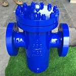 Casting Basket Strainer, 4'' 600LB, ASTM A216 WCB Body, SS304 Screen, Flange ends