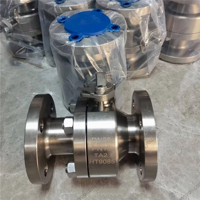2PC Ti Ball Valve, DN25 PN16, Titanium TA2 Body, TA2 Ball, RF Ends, Lever Operation