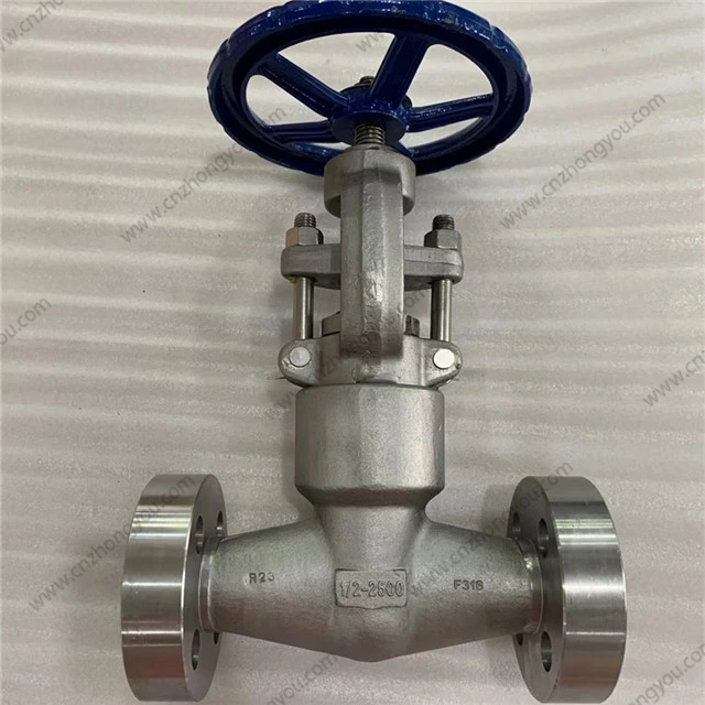 PSB Forged Globe Valve, 0.5'' 2500LB, A182 F316 body, A182 F316 Trim, RTJ Ends