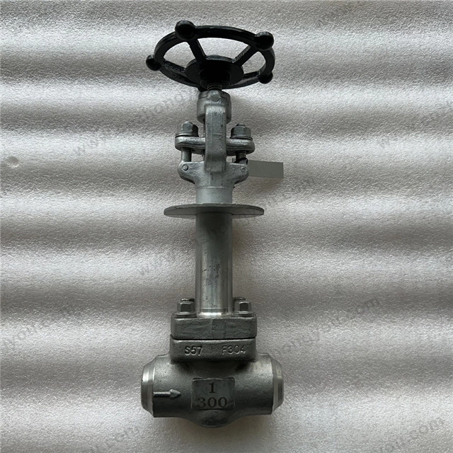 -196℃ LNG Extension Stem Cryogenic Globe Valve, 1'' Class 300#, ASTM A182 F304 Body, ASTM A182 F304 Trim, Butt Welded