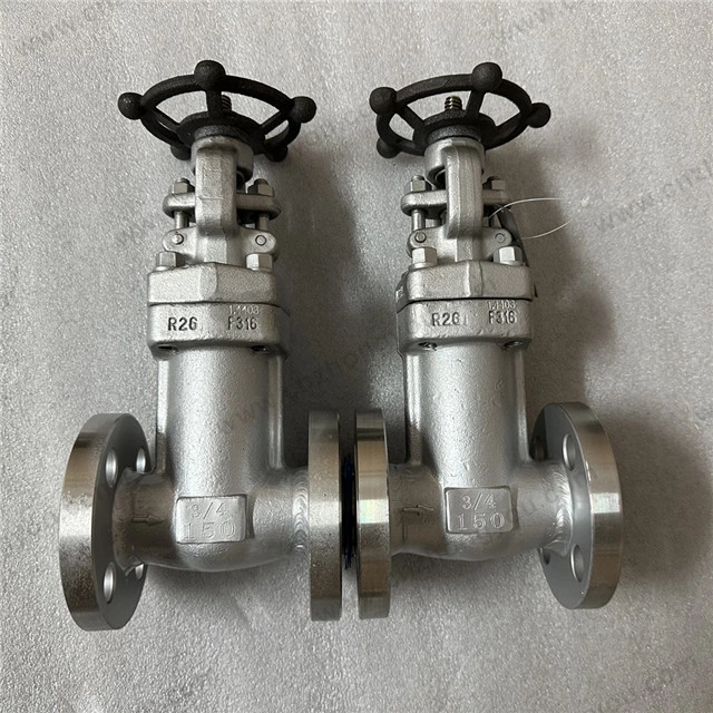 1.4408 Bellow Seal Globe Valve, 0.75'' 150LB, ASTM A182 F316 Body, ASTM A182 F316 Trim, RF Ends