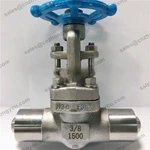 Forged Gate Valve, 0.375'' Class 1500#, F316L Body, F316L Trim, BW Ends