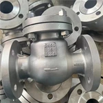 310S Swing Check Valve, DN50 PN16, 310S Body, 310S Trim, RF Ends