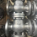 310S Swing Check Valve, DN50 PN16, 310S Body, 310S Trim, RF Ends