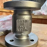 904L Vertical Check Valve, DN50 PN16, 904L Body, 904L Disc, Flange Ends