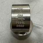 Alloy F904L Disco Check Valve, 1'' 150LB, ASTM A182 F904L Body, UNS N08904 Trim