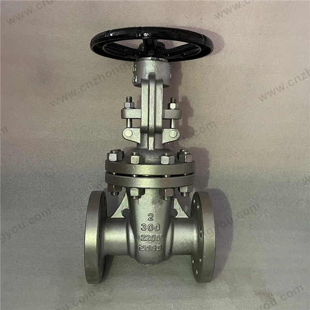 Austenitic-ferritic Alloy 2205 Gate Valve, 2'' 300LB, 2205 Body, 1.4462 Trim, RF Ends