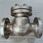 Cast Steel 2507 Check Valve, 2'' 150LB, 2507 Body, 2507 Hinge, Flanged Ends