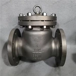 CG3M Check Valve, 4'' 150LB, CG3M Body, F317L Trim, RF Ends