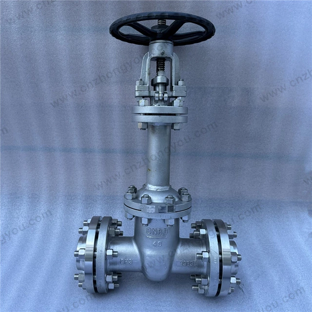 DIN Bellow Sealed Gate Valve, DN80 PN40, ASTM A351 CF3 Body, F316Ti Bellows, Flanged Ends