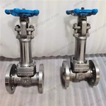 Extension Stem F53 Globe Valve, 0.5‘’ 150LB, ASTM F53 Body, ASTM A182 F53 Trim, RF Ends