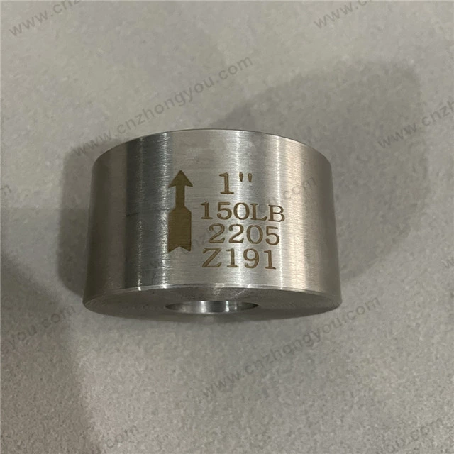 Forging Disco Check Valve, 1'' 150LB, 2205 Body, 2205 Trim